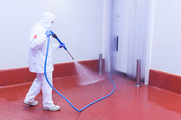 Best Dumpster Area Cleaning  in Bull Shoals, AR